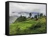 Rice Fields and Terraces Spread Out in All Areas Between the Mountains, Bhutan-Tom Norring-Framed Stretched Canvas