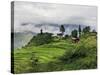 Rice Fields and Terraces Spread Out in All Areas Between the Mountains, Bhutan-Tom Norring-Stretched Canvas