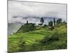 Rice Fields and Terraces Spread Out in All Areas Between the Mountains, Bhutan-Tom Norring-Mounted Photographic Print