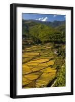Rice Fields around Harvest Time in Paro Valley, Bhutan-Howie Garber-Framed Photographic Print