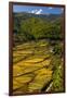 Rice Fields around Harvest Time in Paro Valley, Bhutan-Howie Garber-Framed Photographic Print