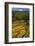 Rice Fields around Harvest Time in Paro Valley, Bhutan-Howie Garber-Framed Photographic Print