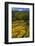 Rice Fields around Harvest Time in Paro Valley, Bhutan-Howie Garber-Framed Photographic Print