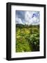 Rice fields at Tegallalang Rice Terrace, Bali, Indonesia-Russ Bishop-Framed Photographic Print