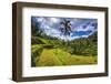 Rice fields at Tegallalang Rice Terrace, Bali, Indonesia-Russ Bishop-Framed Photographic Print