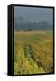 Rice Fields at the Foot of the Gunung Agung-Christoph Mohr-Framed Stretched Canvas