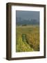 Rice Fields at the Foot of the Gunung Agung-Christoph Mohr-Framed Photographic Print