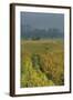 Rice Fields at the Foot of the Gunung Agung-Christoph Mohr-Framed Photographic Print