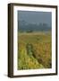 Rice Fields at the Foot of the Gunung Agung-Christoph Mohr-Framed Photographic Print