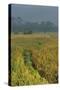 Rice Fields at the Foot of the Gunung Agung-Christoph Mohr-Stretched Canvas
