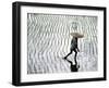 Rice Fields, Bali, Indonesia-Peter Adams-Framed Photographic Print