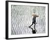 Rice Fields, Bali, Indonesia-Peter Adams-Framed Photographic Print