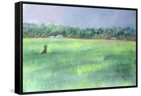Rice Fields, Goa, India, 1997-Sophia Elliot-Framed Stretched Canvas