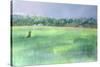 Rice Fields, Goa, India, 1997-Sophia Elliot-Stretched Canvas