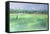 Rice Fields, Goa, India, 1997-Sophia Elliot-Framed Stretched Canvas