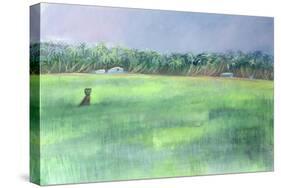 Rice Fields, Goa, India, 1997-Sophia Elliot-Stretched Canvas