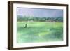 Rice Fields, Goa, India, 1997-Sophia Elliot-Framed Giclee Print