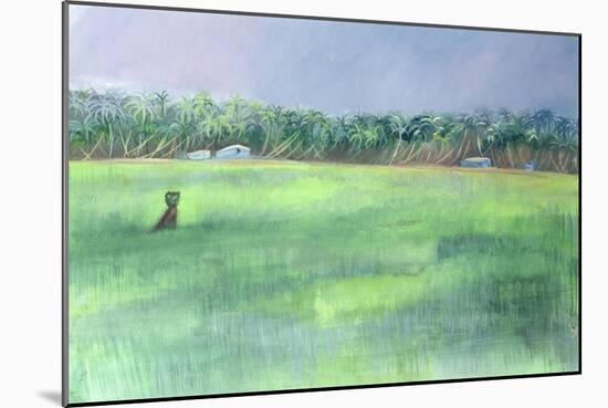 Rice Fields, Goa, India, 1997-Sophia Elliot-Mounted Giclee Print