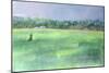 Rice Fields, Goa, India, 1997-Sophia Elliot-Mounted Giclee Print