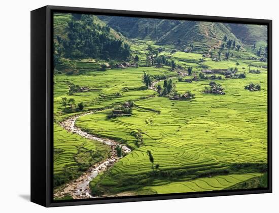 Rice Fields in Sapa Region, North Vietnam, Vietnam, Indochina, Southeast Asia, Asia-null-Framed Stretched Canvas