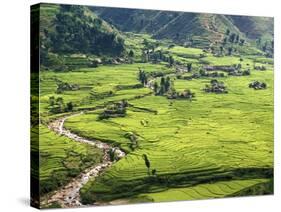Rice Fields in Sapa Region, North Vietnam, Vietnam, Indochina, Southeast Asia, Asia-null-Stretched Canvas