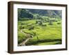 Rice Fields in Sapa Region, North Vietnam, Vietnam, Indochina, Southeast Asia, Asia-null-Framed Photographic Print