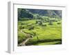 Rice Fields in Sapa Region, North Vietnam, Vietnam, Indochina, Southeast Asia, Asia-null-Framed Photographic Print