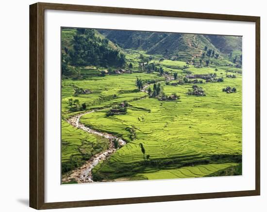 Rice Fields in Sapa Region, North Vietnam, Vietnam, Indochina, Southeast Asia, Asia-null-Framed Photographic Print