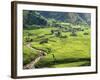 Rice Fields in Sapa Region, North Vietnam, Vietnam, Indochina, Southeast Asia, Asia-null-Framed Photographic Print