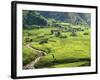 Rice Fields in Sapa Region, North Vietnam, Vietnam, Indochina, Southeast Asia, Asia-null-Framed Photographic Print