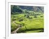 Rice Fields in Sapa Region, North Vietnam, Vietnam, Indochina, Southeast Asia, Asia-null-Framed Photographic Print