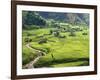 Rice Fields in Sapa Region, North Vietnam, Vietnam, Indochina, Southeast Asia, Asia-null-Framed Photographic Print