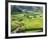 Rice Fields in Sapa Region, North Vietnam, Vietnam, Indochina, Southeast Asia, Asia-null-Framed Photographic Print