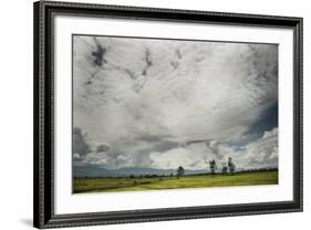 Rice Fields Near Kentung, Burma During The Rainy Season-Rebecca Gaal-Framed Photographic Print