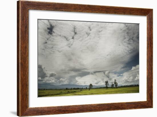 Rice Fields Near Kentung, Burma During The Rainy Season-Rebecca Gaal-Framed Photographic Print