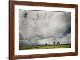 Rice Fields Near Kentung, Burma During The Rainy Season-Rebecca Gaal-Framed Photographic Print