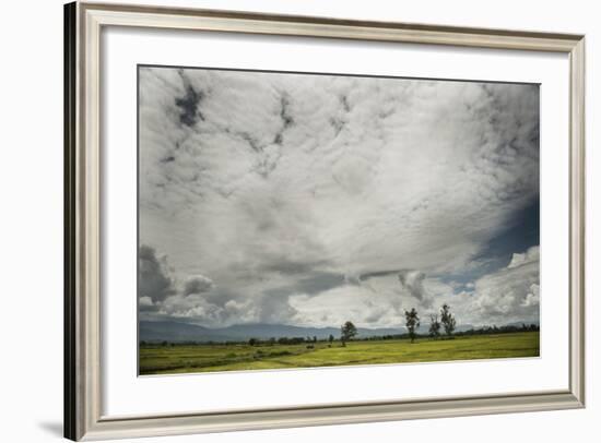 Rice Fields Near Kentung, Burma During The Rainy Season-Rebecca Gaal-Framed Photographic Print