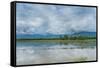 Rice Fields Near Kentung, Burma During The Rainy Season-Rebecca Gaal-Framed Stretched Canvas