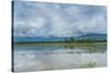 Rice Fields Near Kentung, Burma During The Rainy Season-Rebecca Gaal-Stretched Canvas