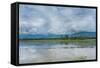 Rice Fields Near Kentung, Burma During The Rainy Season-Rebecca Gaal-Framed Stretched Canvas