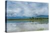 Rice Fields Near Kentung, Burma During The Rainy Season-Rebecca Gaal-Stretched Canvas