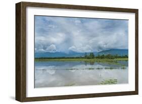 Rice Fields Near Kentung, Burma During The Rainy Season-Rebecca Gaal-Framed Photographic Print