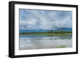 Rice Fields Near Kentung, Burma During The Rainy Season-Rebecca Gaal-Framed Photographic Print