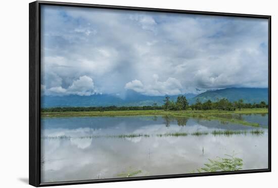 Rice Fields Near Kentung, Burma During The Rainy Season-Rebecca Gaal-Framed Photographic Print