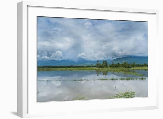 Rice Fields Near Kentung, Burma During The Rainy Season-Rebecca Gaal-Framed Photographic Print