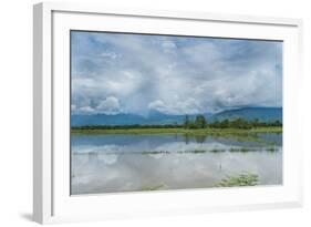 Rice Fields Near Kentung, Burma During The Rainy Season-Rebecca Gaal-Framed Photographic Print