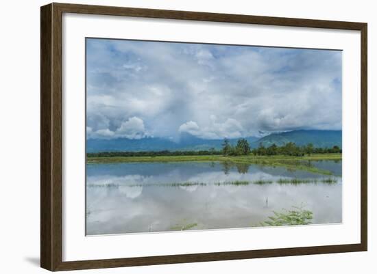 Rice Fields Near Kentung, Burma During The Rainy Season-Rebecca Gaal-Framed Photographic Print