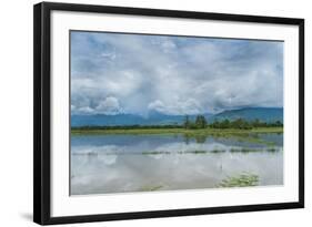 Rice Fields Near Kentung, Burma During The Rainy Season-Rebecca Gaal-Framed Photographic Print