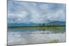 Rice Fields Near Kentung, Burma During The Rainy Season-Rebecca Gaal-Mounted Photographic Print