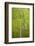 Rice Fields Near Siem Reap, Cambodia-David Wall-Framed Photographic Print